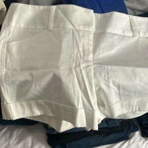 Express design studio shorts new with tags size 12
